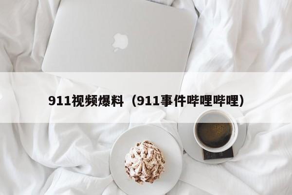 911视频爆料（911事件哔哩哔哩）