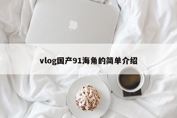 vlog国产91海角的简单介绍
