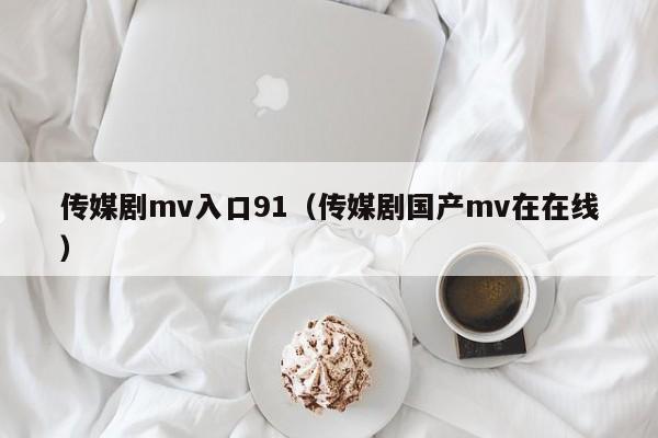 传媒剧mv入口91（传媒剧国产mv在在线）